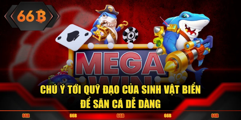 Chú ý tới quỹ đạo di chuyển của từng sinh vật biển